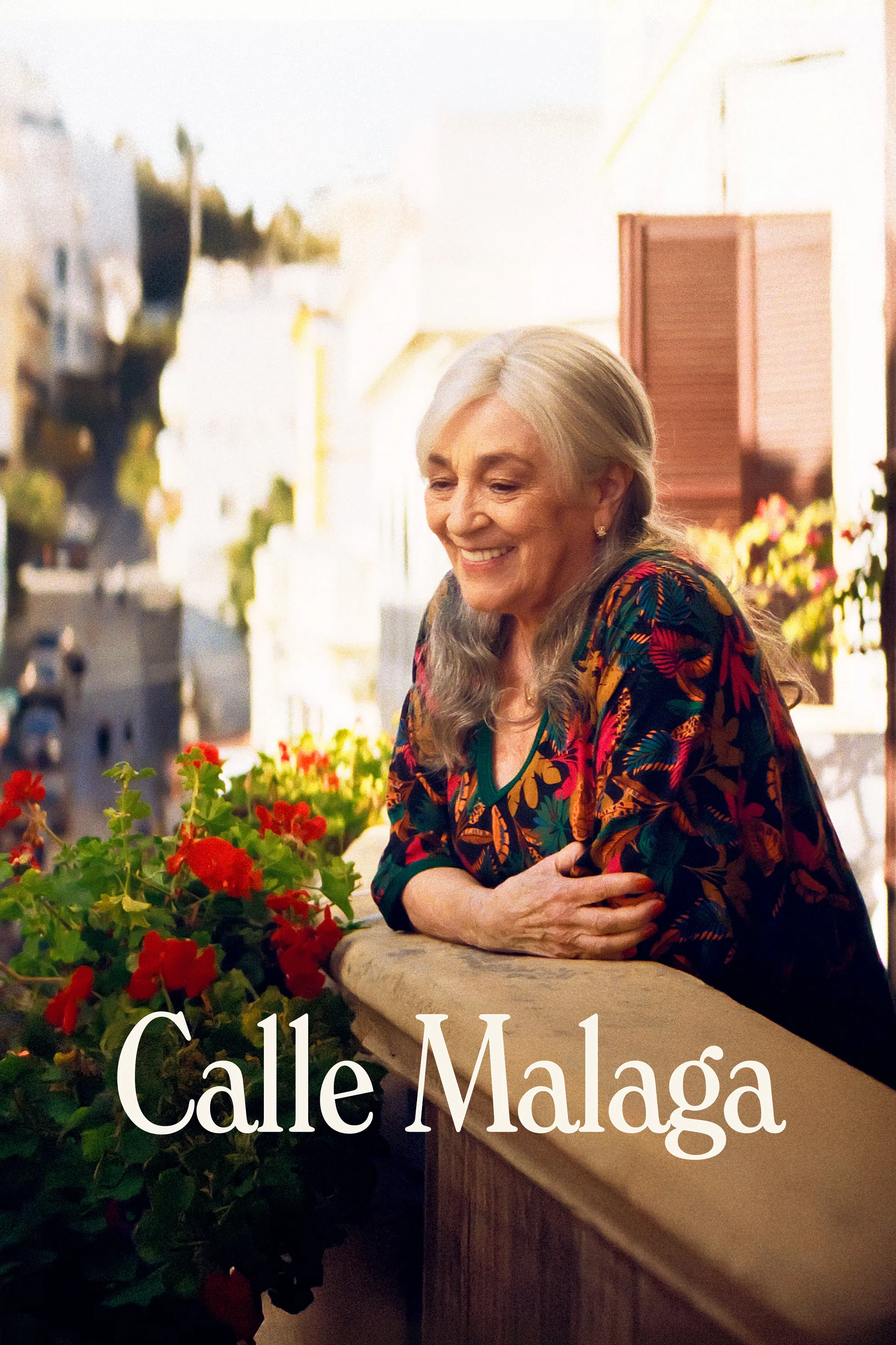 Malagos gatvė